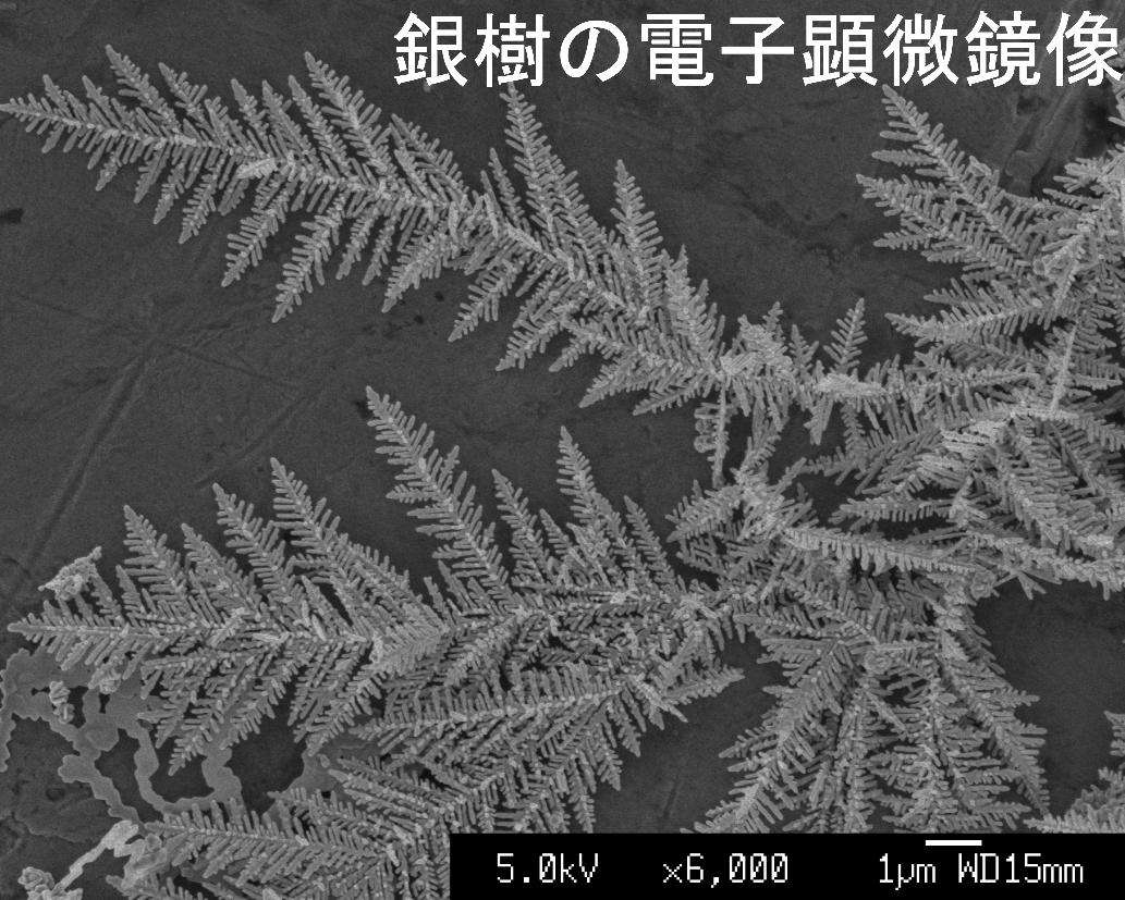 夢・化学-21　化学へのご招待2023