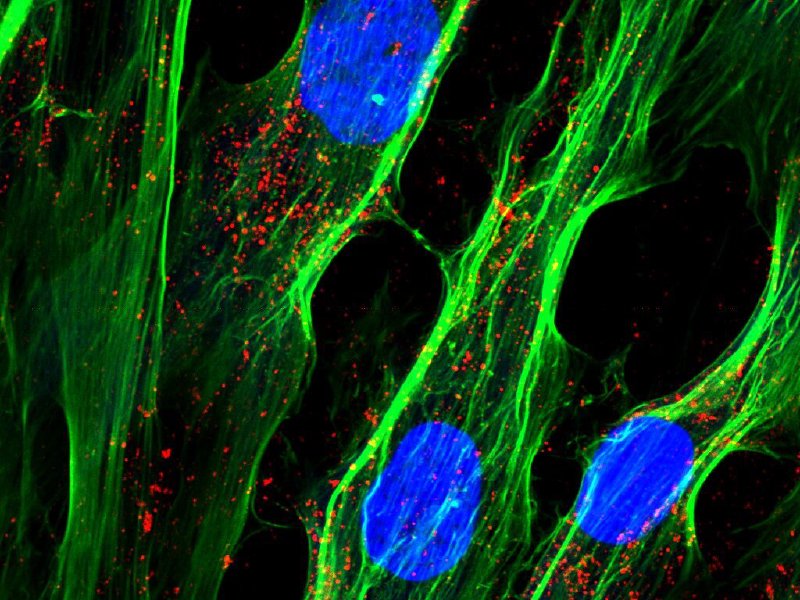ナノ化学研究室