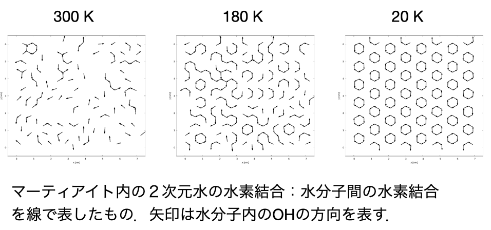 マーティアイト内の2次元水の水素結合。300 K、180 K、20 Kでの様子