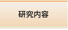研究内容