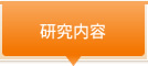 研究内容